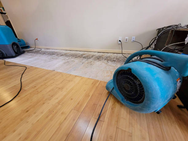 Professional Basement Flood Cleanup technician working in Frederic, WI